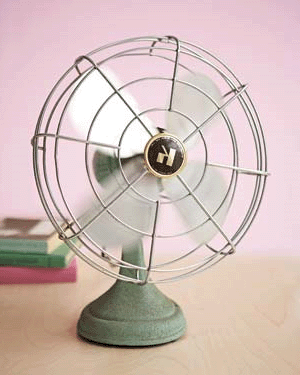 fan