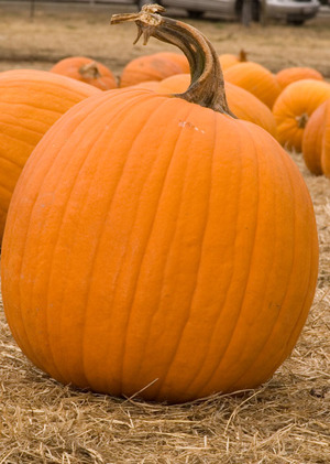 calabaza