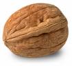 walnut